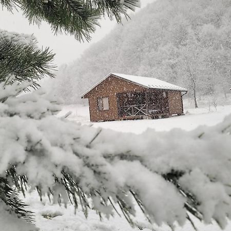 Оберіг Βίλα Sheshory Εξωτερικό φωτογραφία